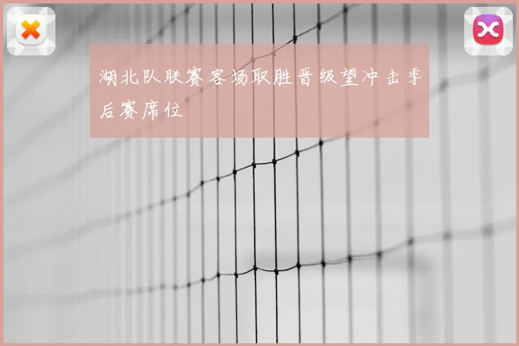 湖北队联赛客场取胜晋级望冲击季后赛席位