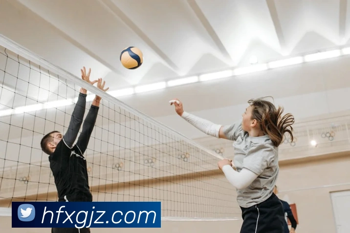 App Interface Preview